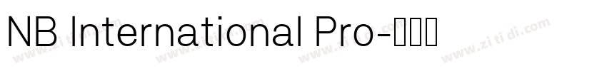 NB International Pro字体转换